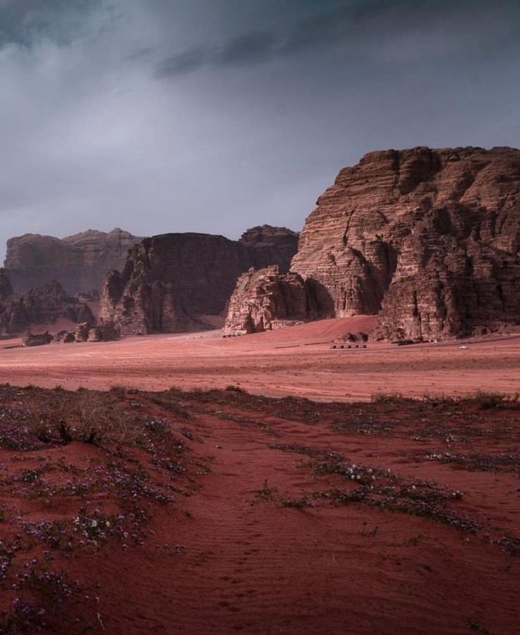 Wadi Rum Camp Luaran gambar