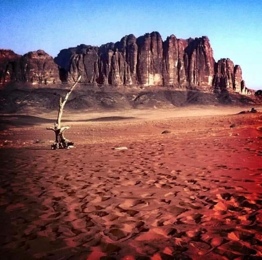 Wadi Rum Camp Luaran gambar